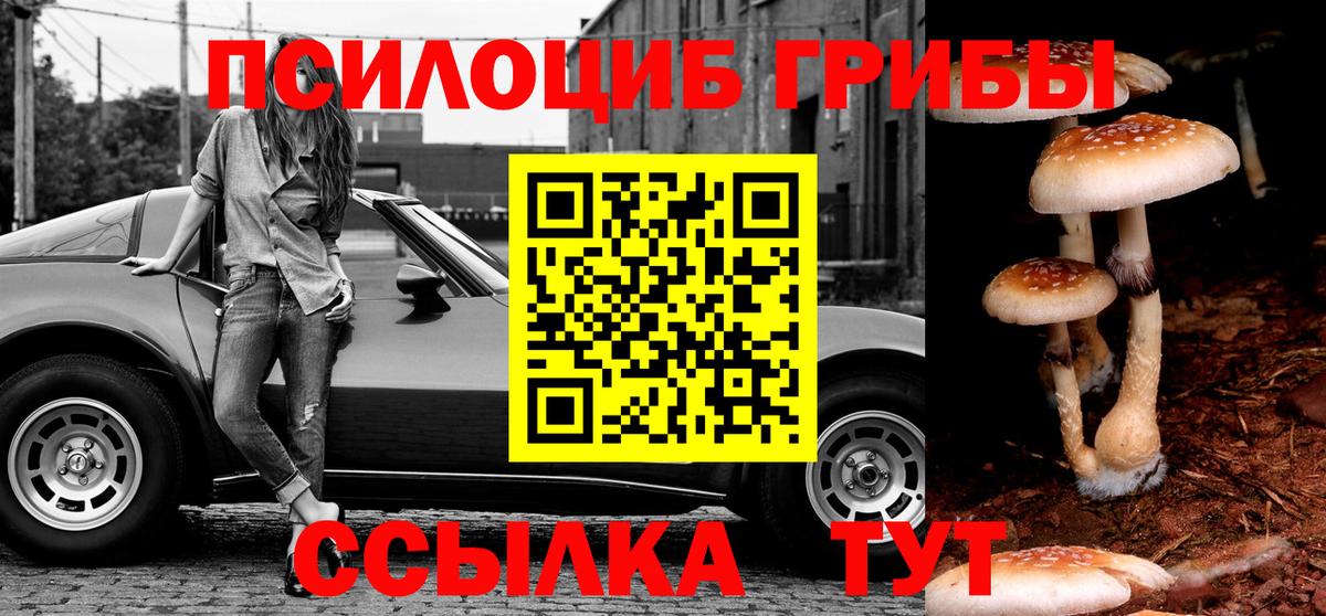 Междуреченск  Псилоцибиновые грибы Psilocybine cubensis  Вход с VPN 